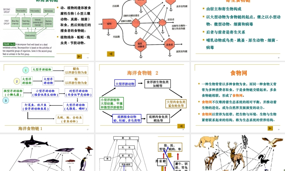 9、第五章生态系统的一般特征.ppt