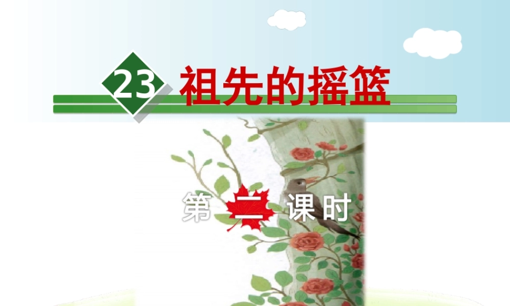 23.祖先的摇篮【第2课时】.ppt