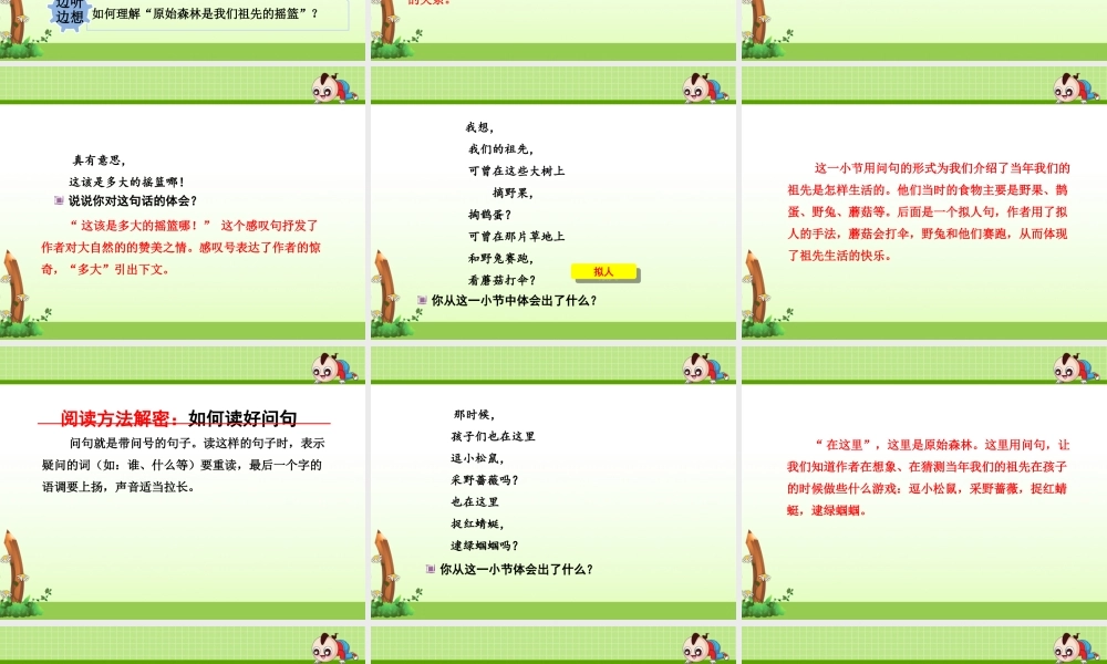 23.祖先的摇篮【第2课时】.ppt