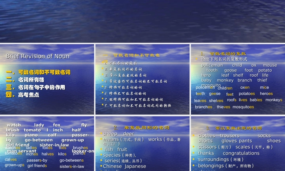 2014高考英语语法专题复习 课件25《名词》.ppt