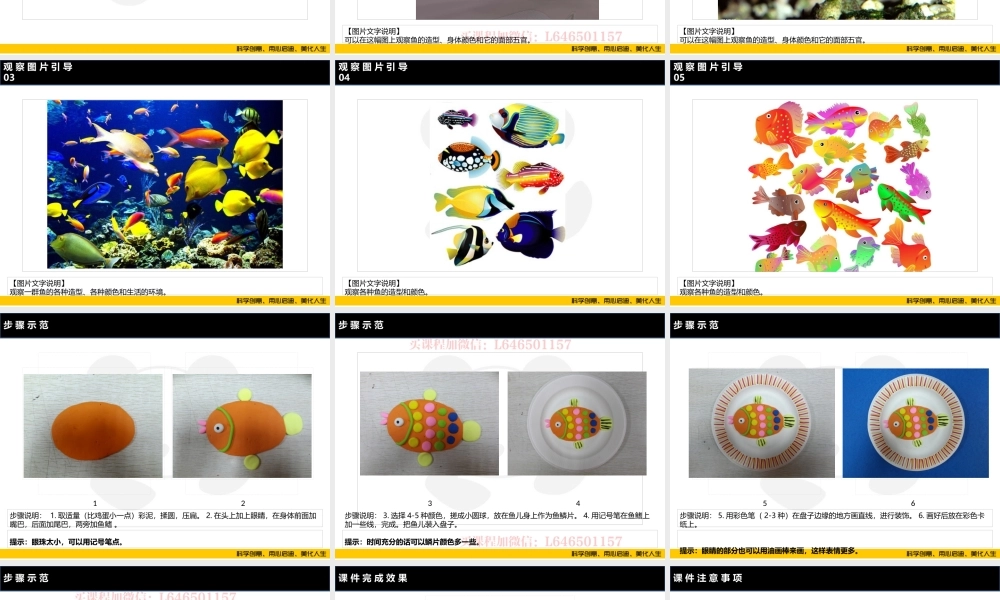 ART1《纸盘鱼》-校对版(1).PPT