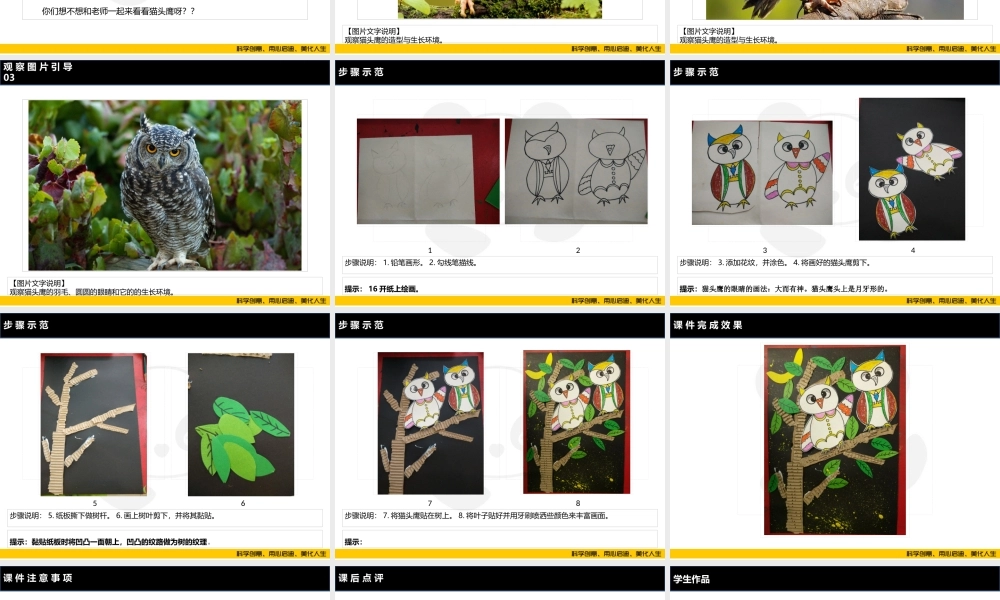 ART2《猫头鹰》-校对版(1).PPT