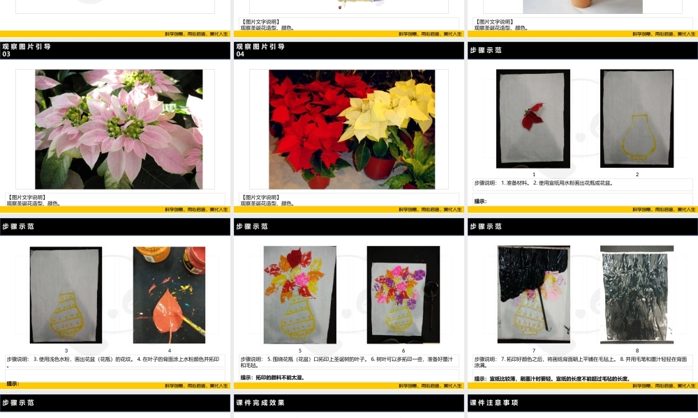 ART2《圣诞花》-校对版(1).PPT