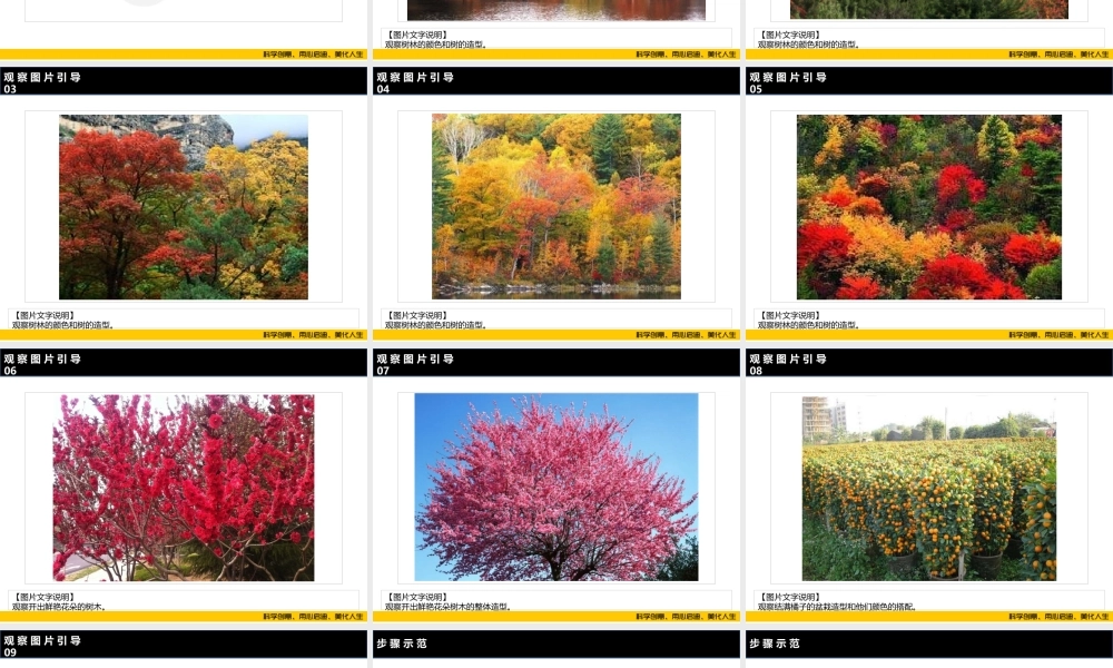 ART3《彩色树》校对版(1).PPT