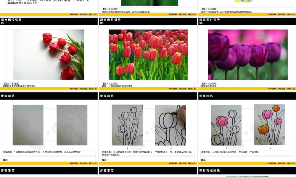 ART2《郁金香》-校对版(1).PPT