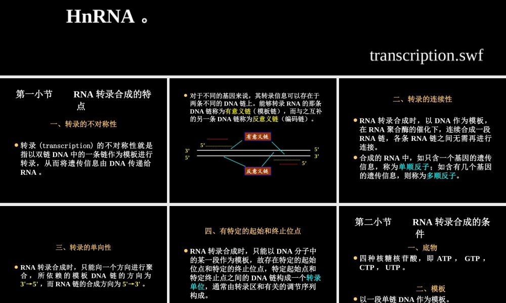 biosynthesis of RNARNA的生物合成.ppt