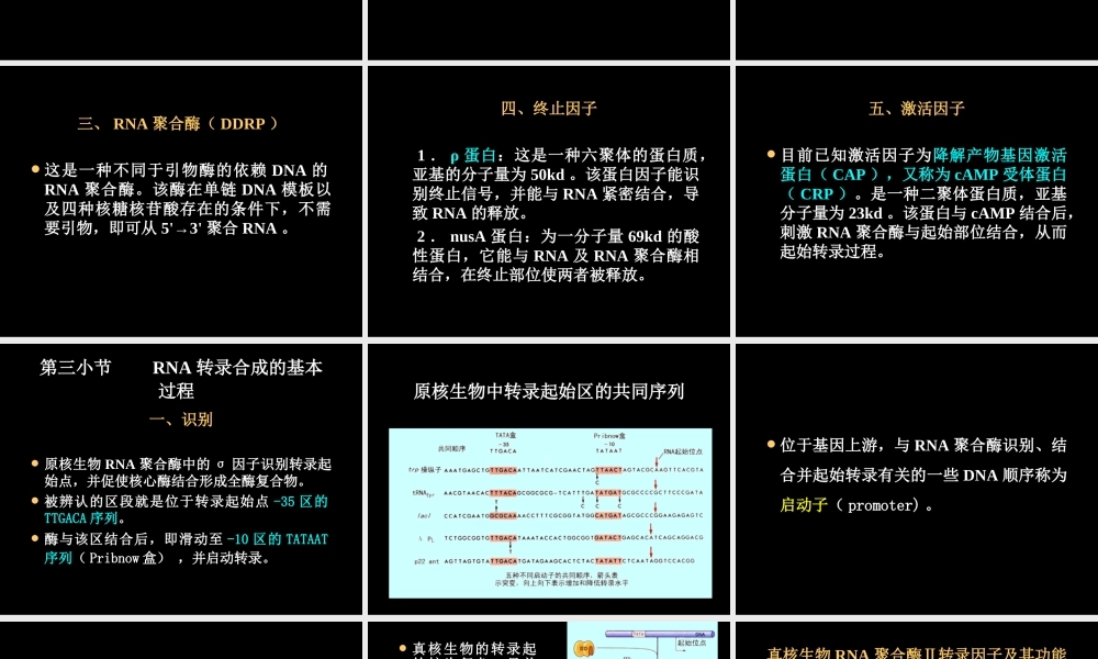 biosynthesis of RNARNA的生物合成.ppt