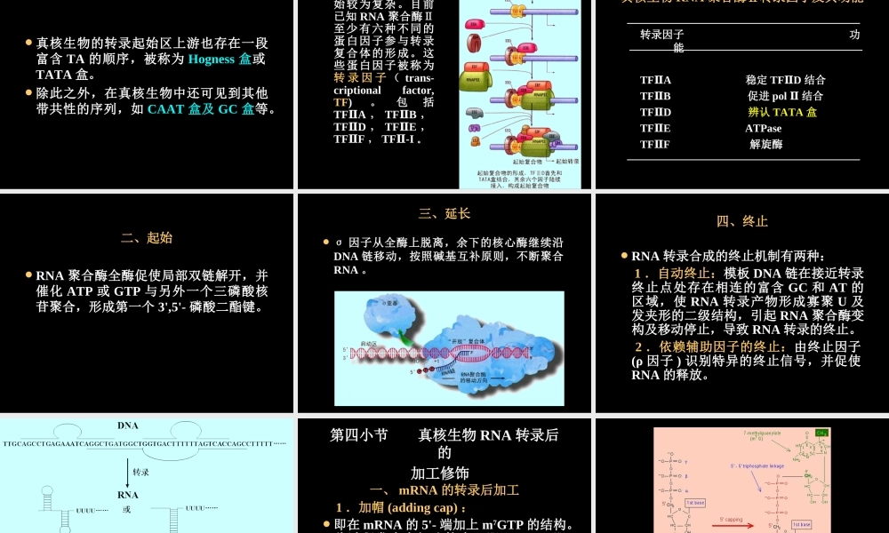 biosynthesis of RNARNA的生物合成.ppt