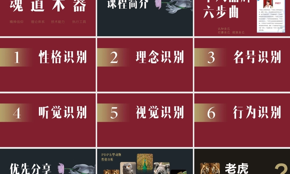 创业者自我性格分析2018.07.ppt