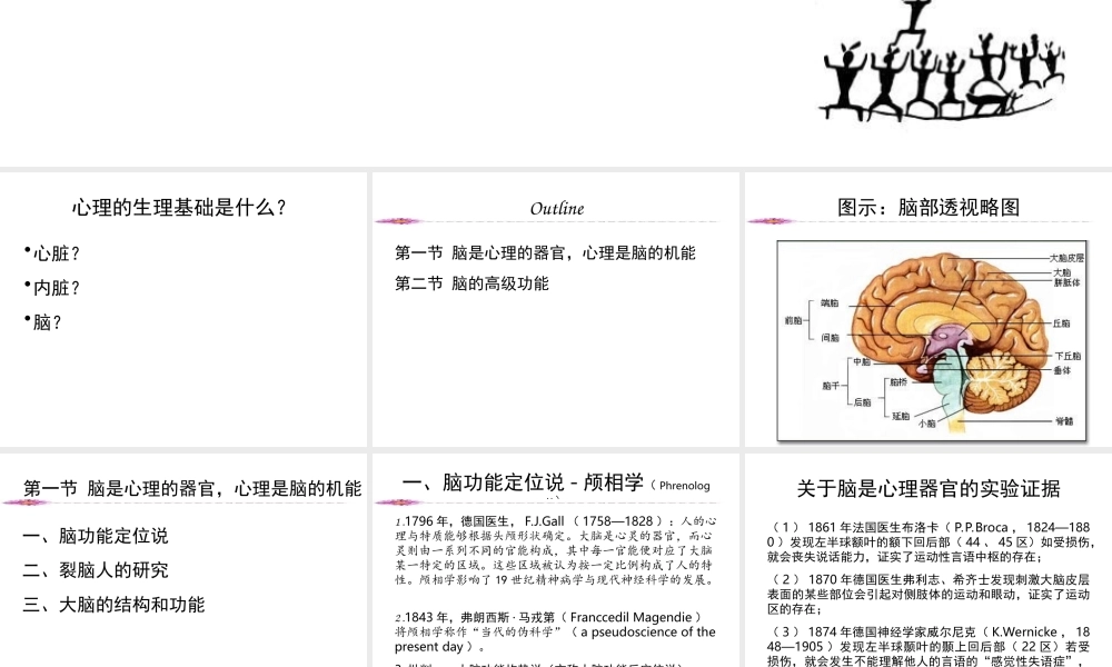 第01章 心理的生理基础.ppt