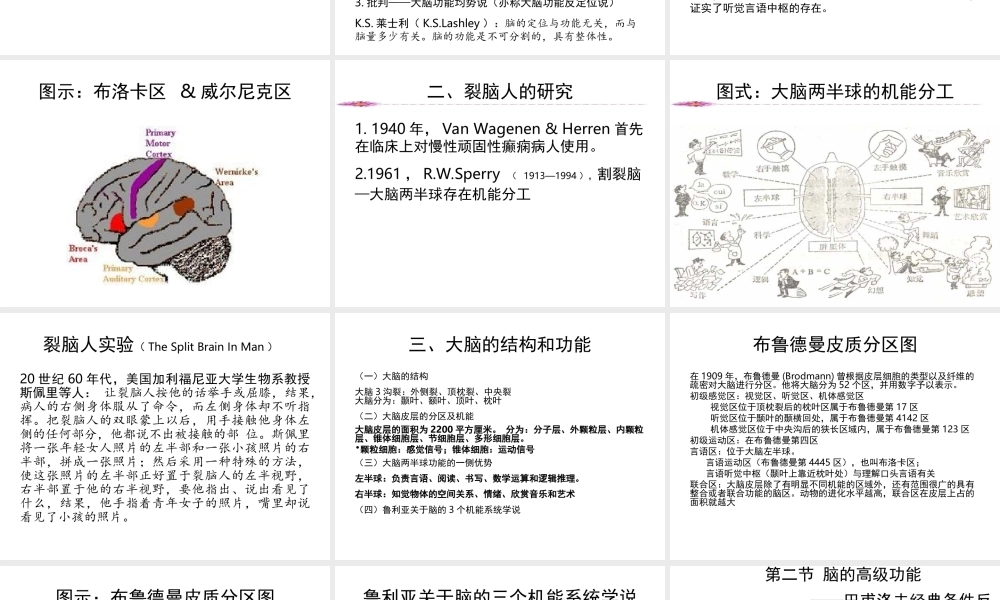 第01章 心理的生理基础.ppt