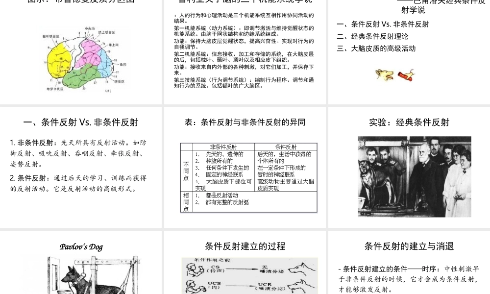第01章 心理的生理基础.ppt