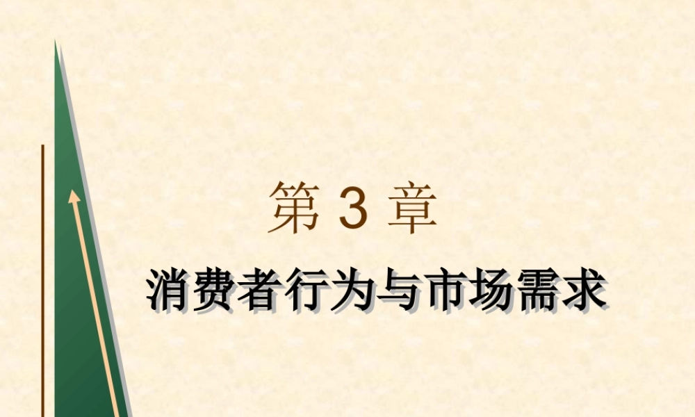 第3章 消费者行为与市场需求(1).ppt