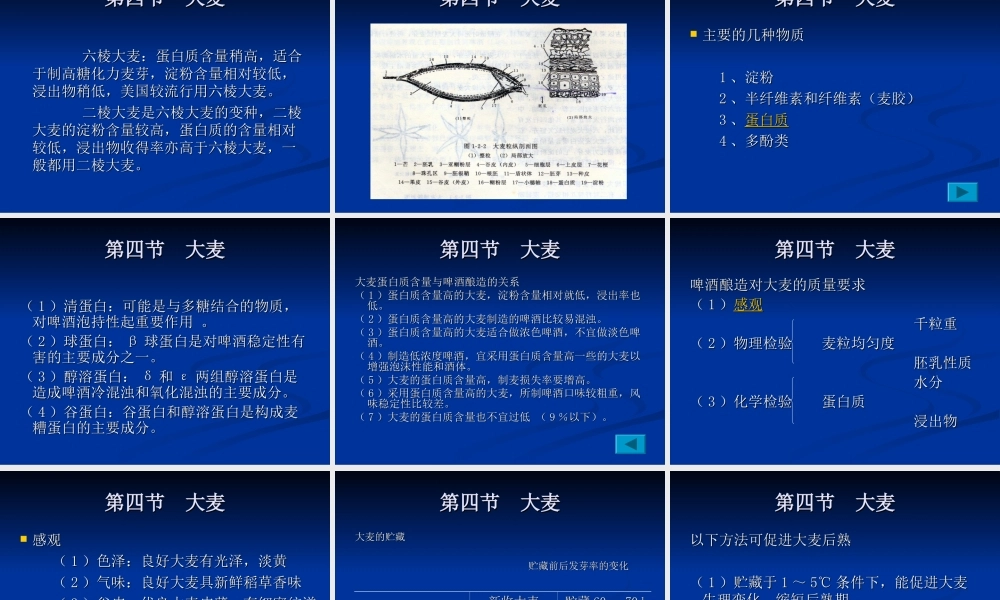 第3章 啤酒酿造工艺概述.ppt