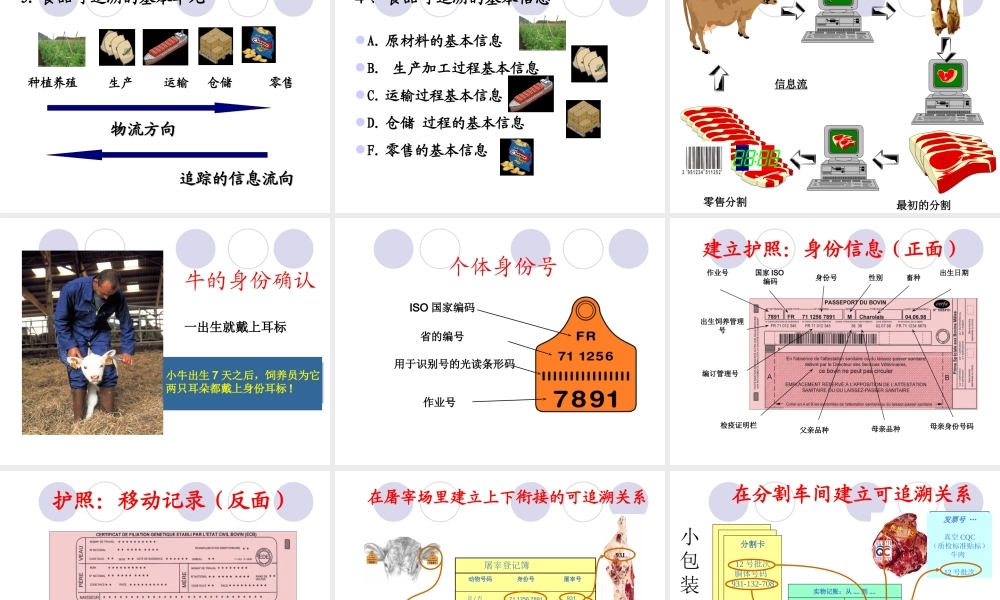 第4章 食品可追溯体系2012.ppt
