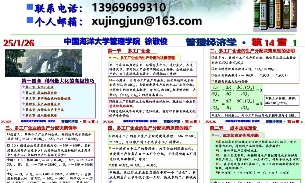 第14章 利润最大化的高级技巧.ppt