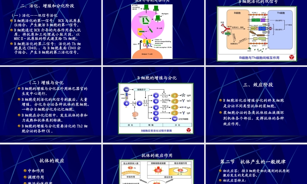 第八章 特异性B细胞免疫应答2.ppt