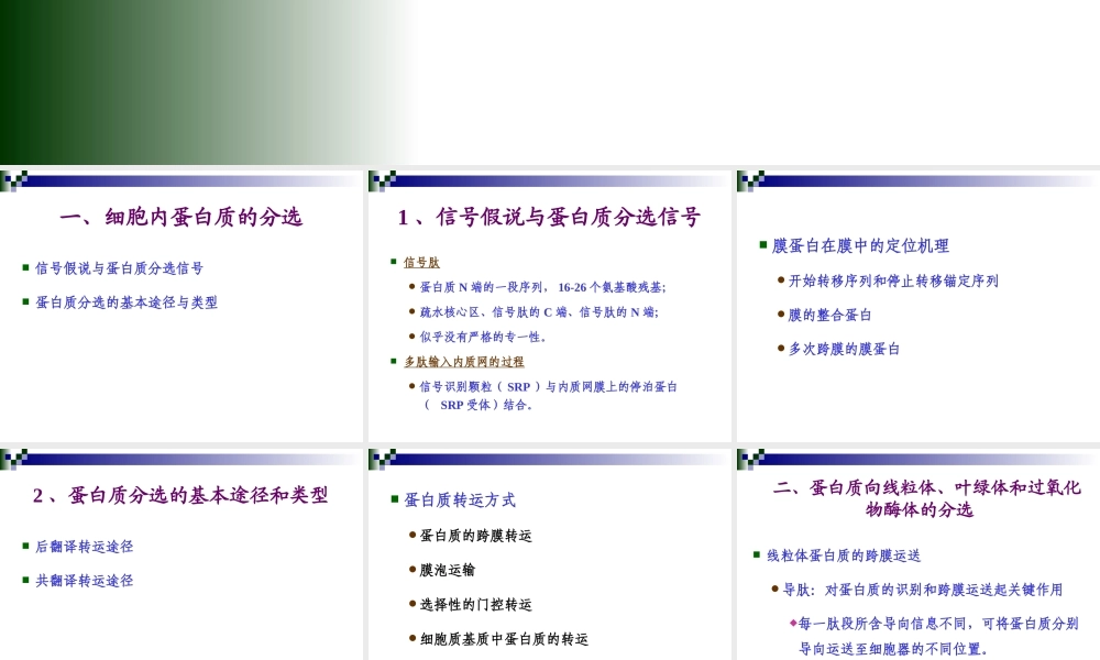 第八章 蛋白质分选与膜泡运输.ppt