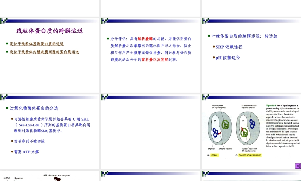第八章 蛋白质分选与膜泡运输.ppt