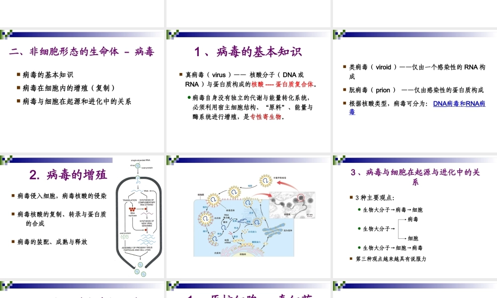 第二章 细胞的统一性与多样性.ppt