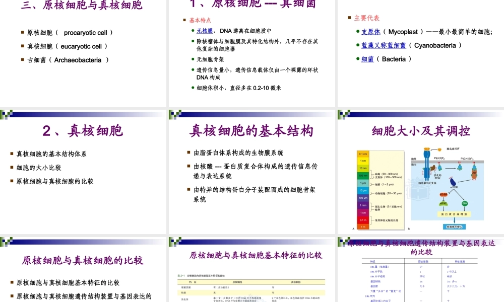 第二章 细胞的统一性与多样性.ppt