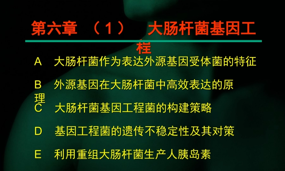 第六章 （1） 大肠杆菌基因工程.ppt