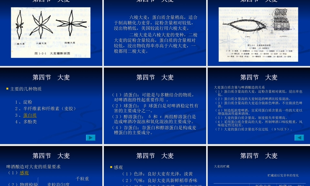 第六章啤酒概述与原料.ppt