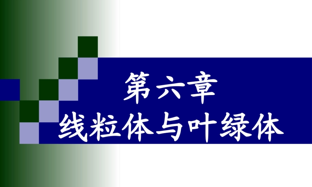 第六章 线粒体与叶绿体.ppt