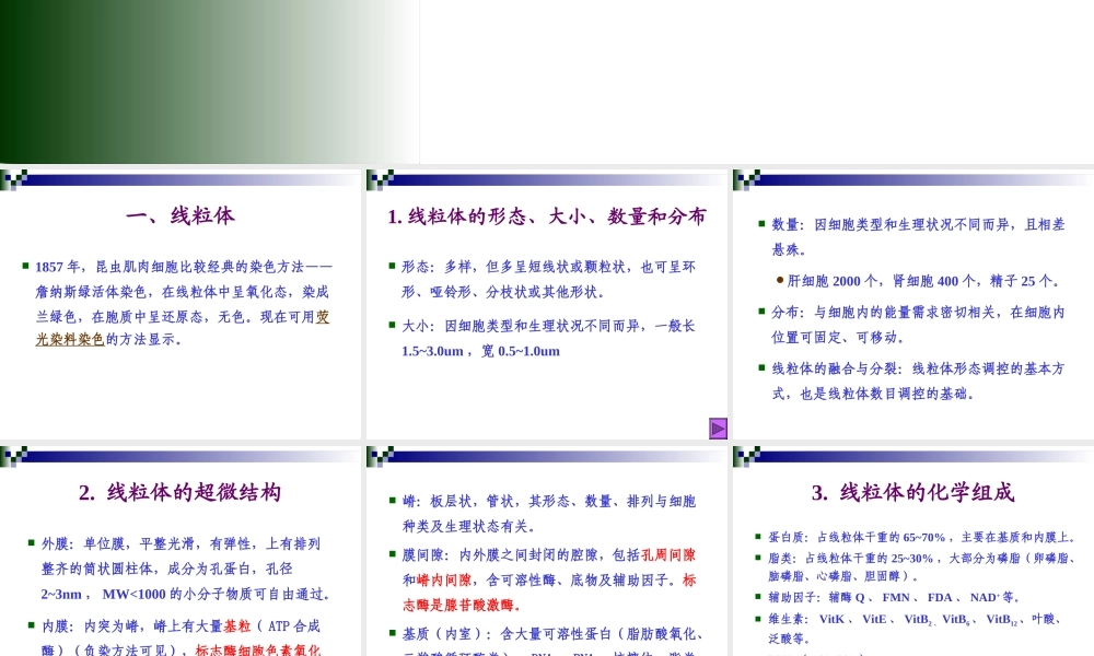 第六章 线粒体与叶绿体.ppt