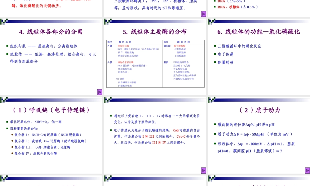 第六章 线粒体与叶绿体.ppt