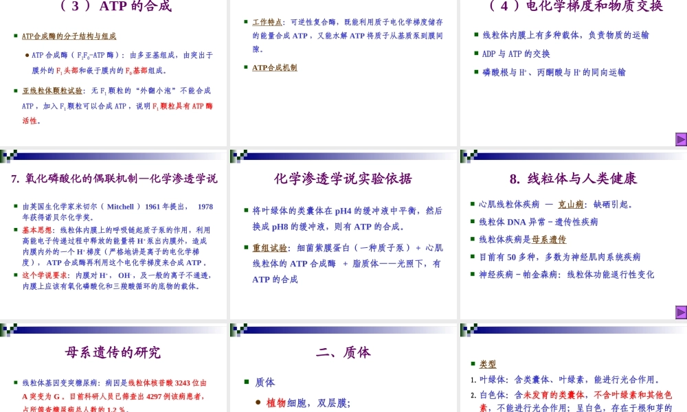 第六章 线粒体与叶绿体.ppt