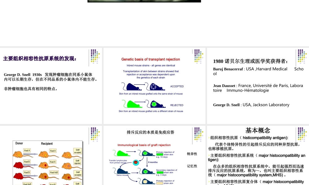 第六章 主要组织相容性抗原系统.ppt