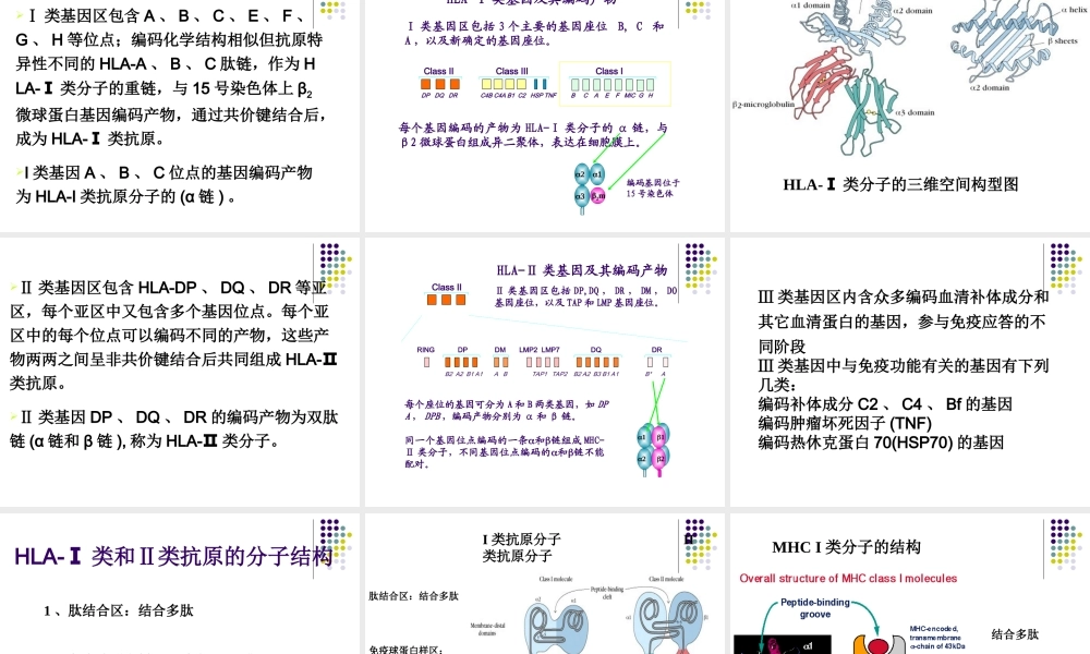 第六章 主要组织相容性抗原系统.ppt