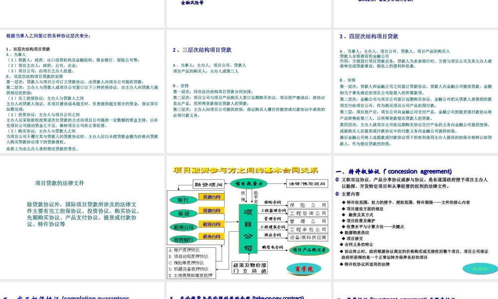 第六章 项目融资的资信结构.PPT