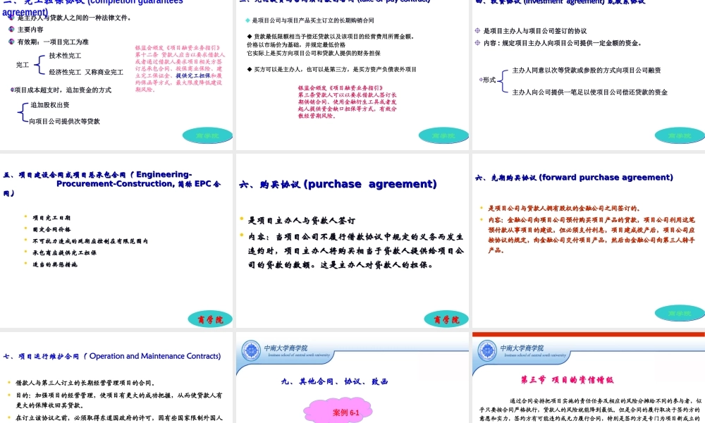 第六章 项目融资的资信结构.PPT