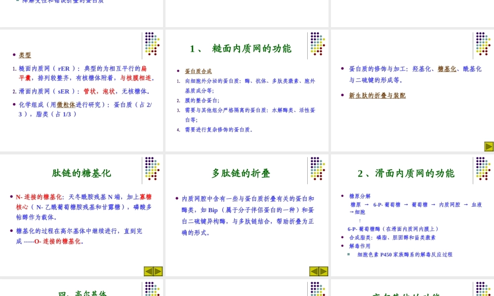 第七章细胞质基质与内膜系统.ppt
