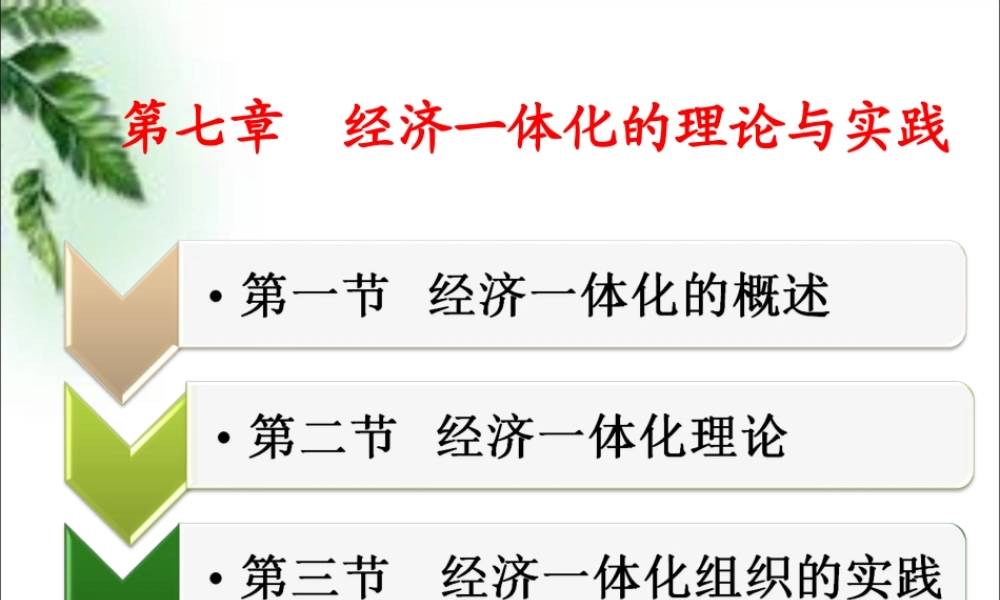 第十五章 国际经济一体化.ppt