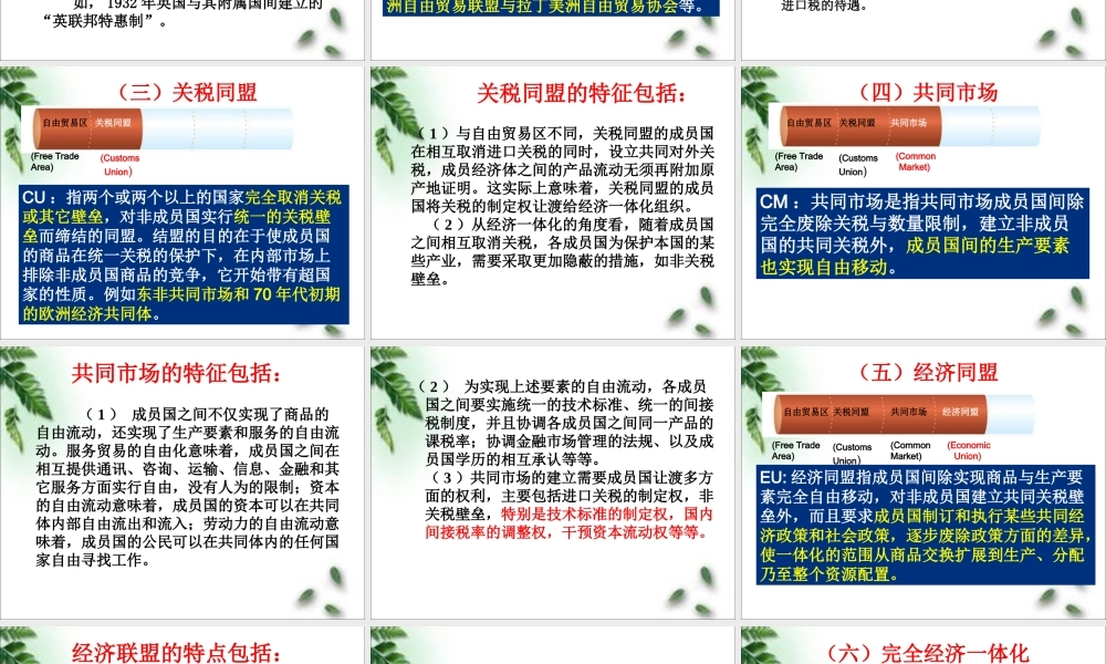 第十五章 国际经济一体化.ppt