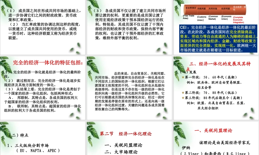 第十五章 国际经济一体化.ppt