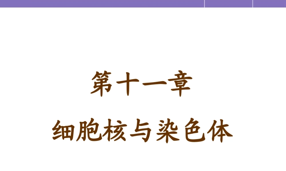 第十一章 细胞核与染色体 YJ.ppt