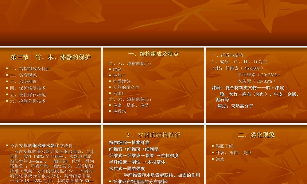 第四章 第三节 竹、木、漆器的保护.ppt