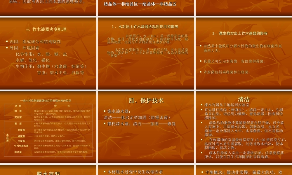 第四章 第三节 竹、木、漆器的保护.ppt