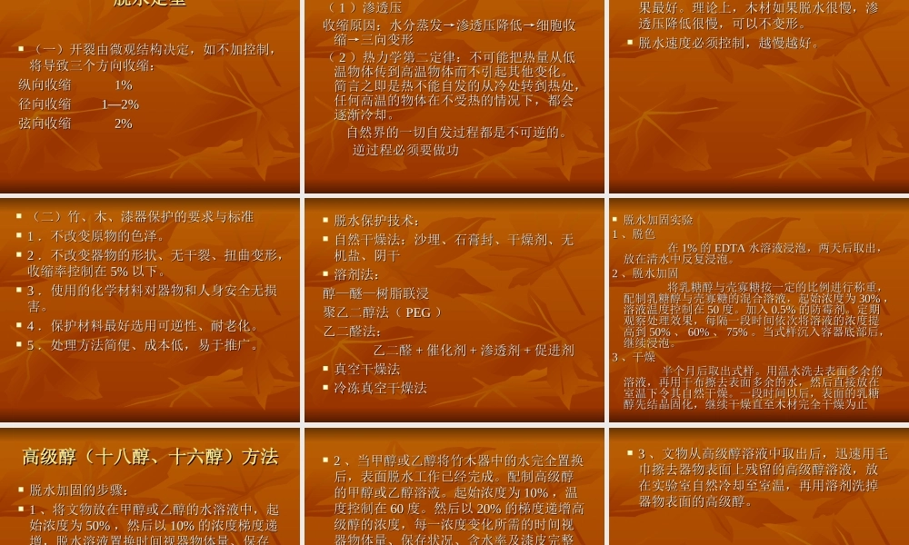 第四章 第三节 竹、木、漆器的保护.ppt