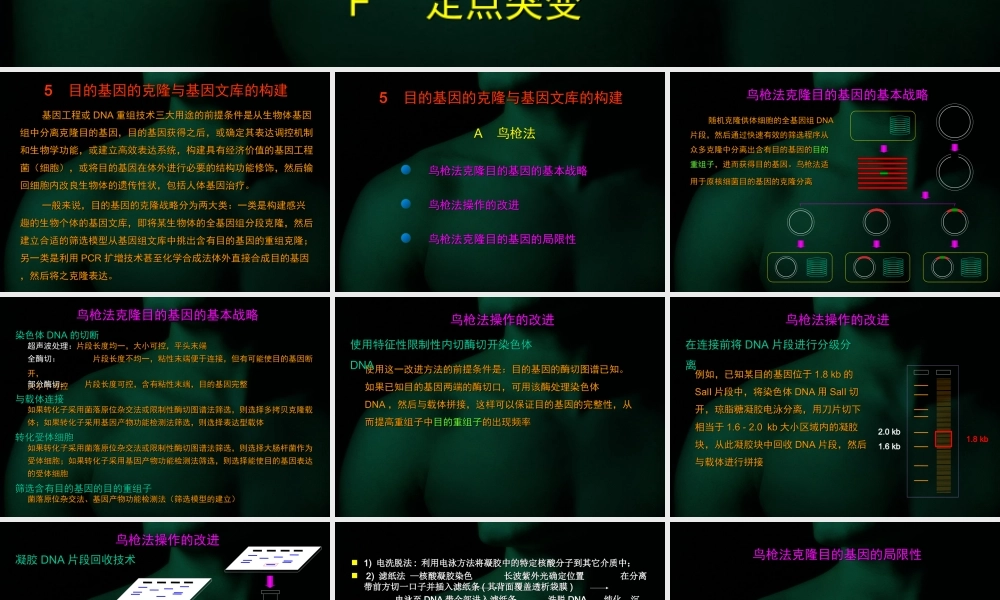 第四章 目的基因的克隆.ppt