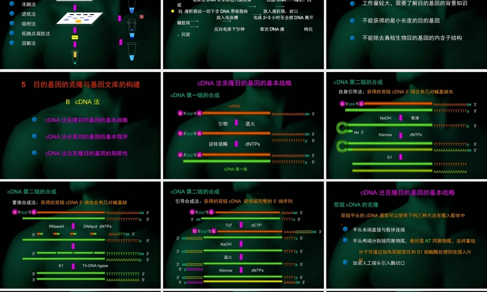 第四章 目的基因的克隆.ppt