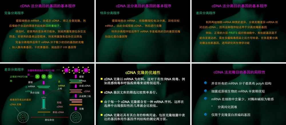 第四章 目的基因的克隆.ppt