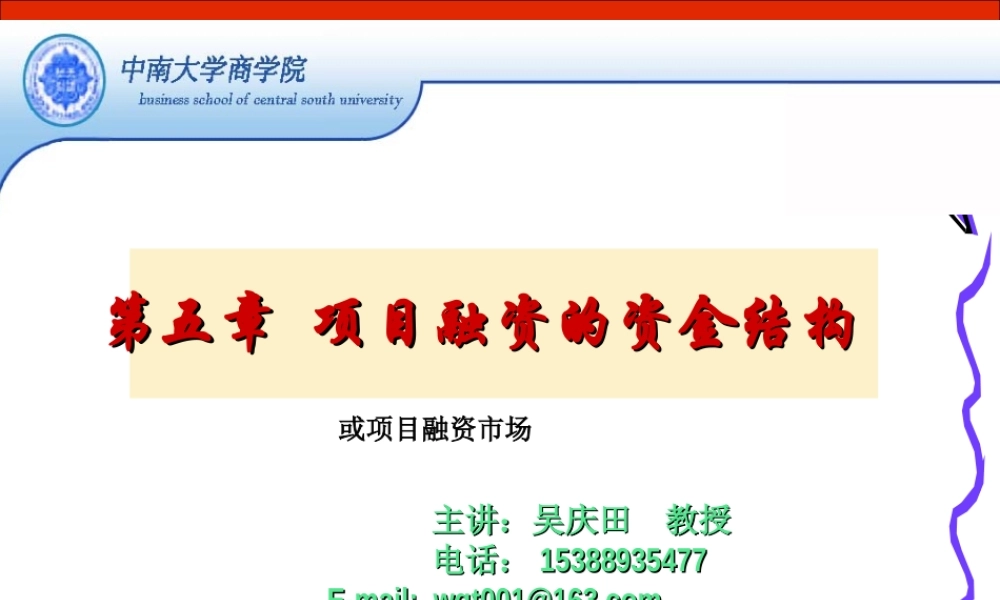第五章 项目融资的资金结构.PPT
