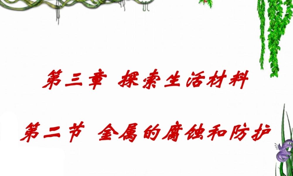 高二人教版化学选修一优质课件：3.2《金属的腐蚀和防护》（共41张PPT）.ppt