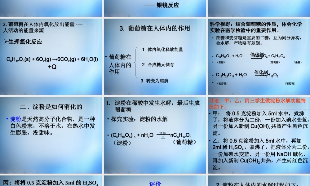 高中化学 1.1《生命的基础能源—糖类》课件 新人教版选修1.ppt