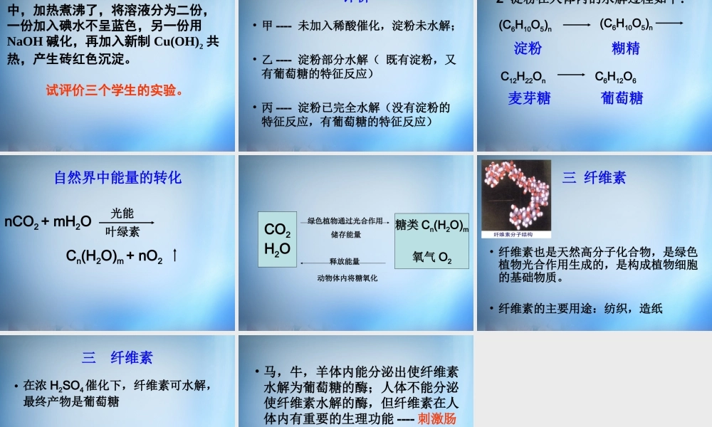 高中化学 1.1《生命的基础能源—糖类》课件 新人教版选修1.ppt
